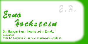 erno hochstein business card